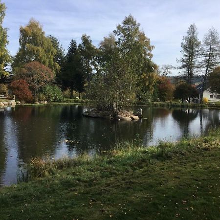 1Z. Fewo 231 Barbo Schwimmbad-Sauna-Fitness Schönwald Luaran gambar